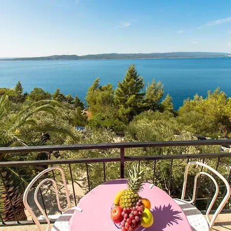 Apartment Miljko - 80 M From